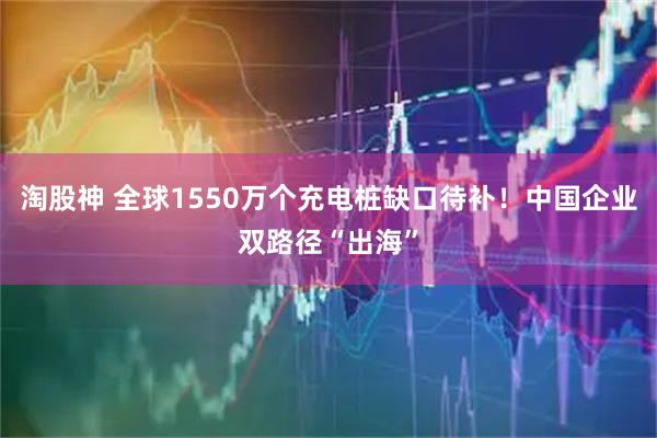 淘股神 全球1550万个充电桩缺口待补！中国企业双路径“出海”